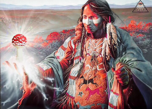 реализуем мухоморы в крыму